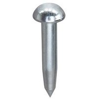 Survey Nail/Bolt with domed head, length 55 mm