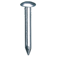 Survey nail/bolt, flat head, length 50 mm
