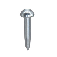 Survey Nail/ Bolt with domed head and centring, length 55 mm