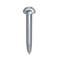 Survey Nail with domed head and centering, length 75 mm