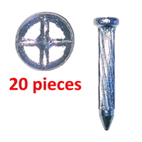 Survey Nail with cross head, 27mm - 20PC Pack