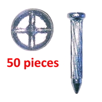 Survey Nail with cross head, length 27mm - 50 Pack