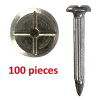 Survey Nail with cross head, length 55mm - 100 pack