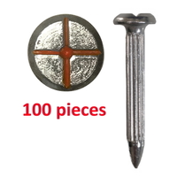 Survey Nail with painted cross head, length 55mm - 100PC pack