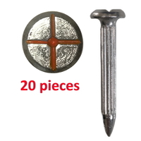 Survey Nail with painted cross head, length 55mm - 20PC pack