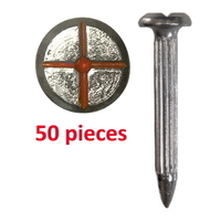 Survey Nail with painted cross head, length 55mm - 50PC pack